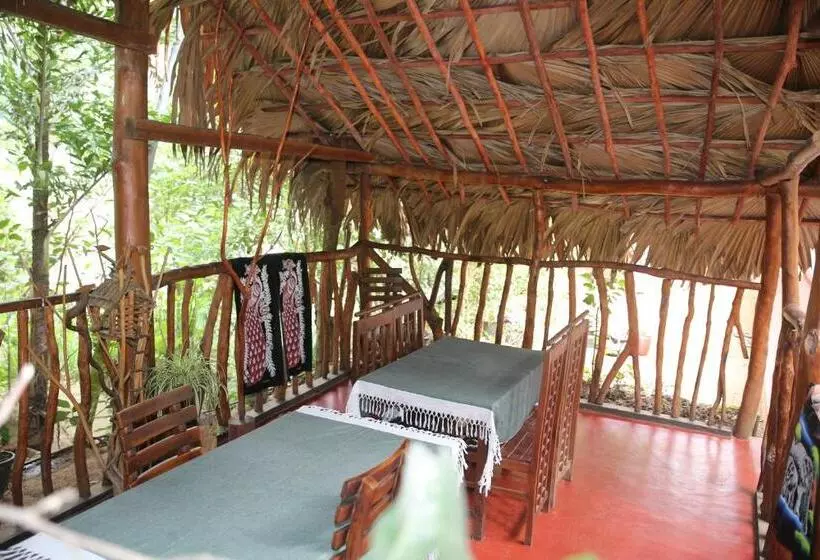 Aamiaismajoitus (B&B) Jungle Face Inn