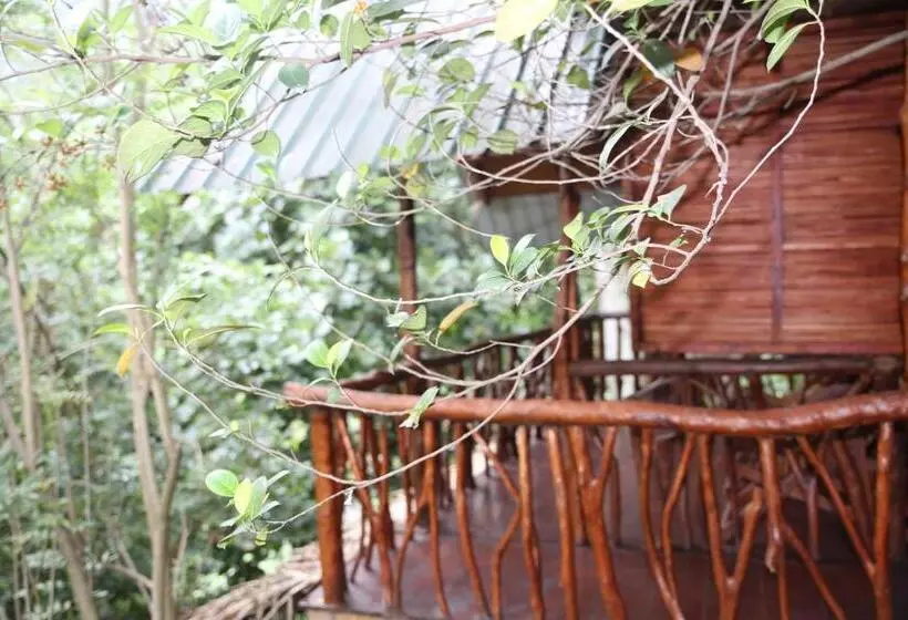 Aamiaismajoitus (B&B) Jungle Face Inn