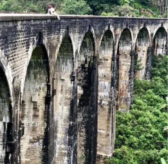 Bed and Breakfast Jungle Face Inn