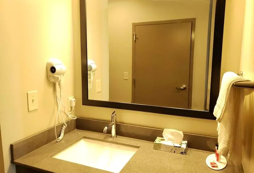 Hotelli Super 8 By Wyndham St. Louis North
