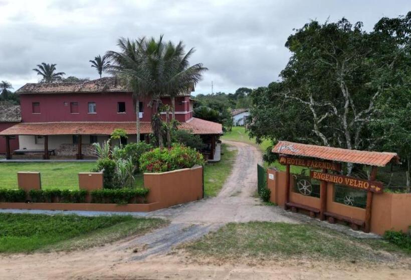 مبيت وإفطار Fazenda Engenho Velho