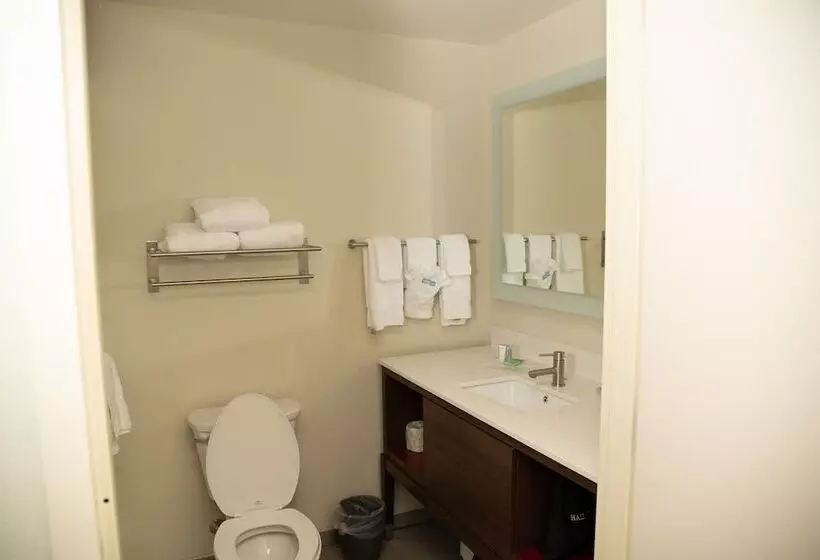 هتل Holiday Inn & Suites   Fayetteville W Fort Bragg Area, An Ihg
