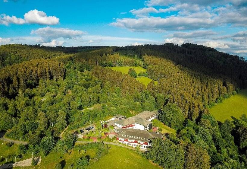 Panorama Hotel Winterberg