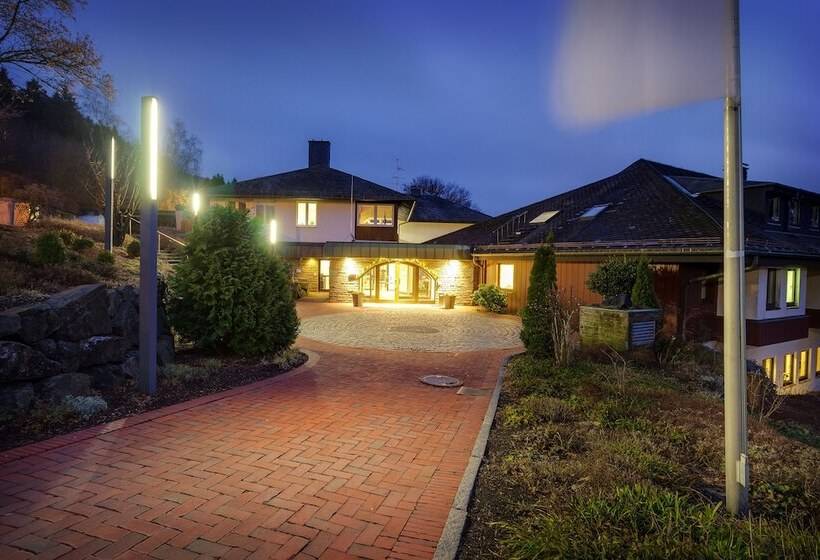 Panorama Hotel Winterberg