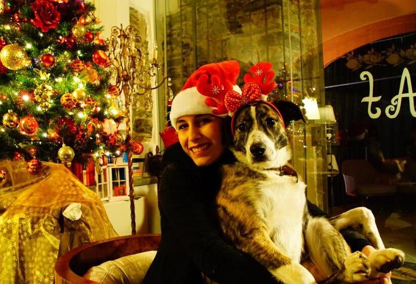 ホテル Angiolina's Farm