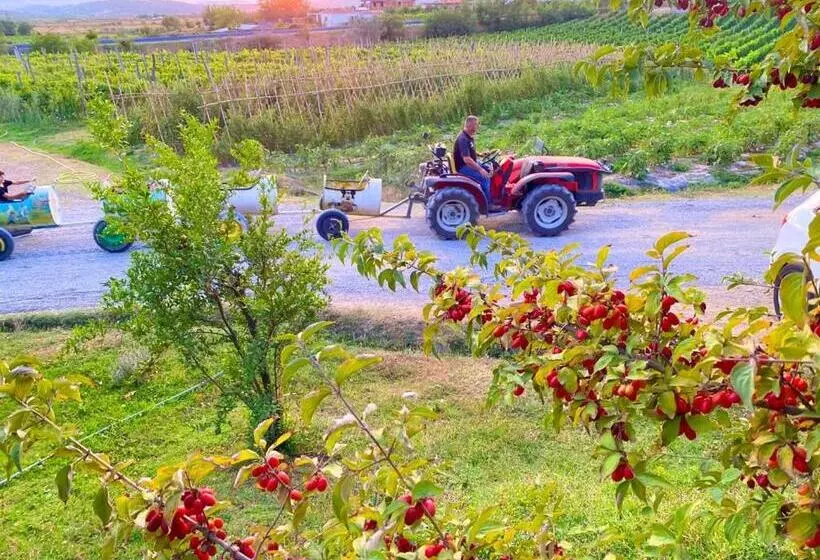 پانسیون Mrizi I Zanave Agroturizëm