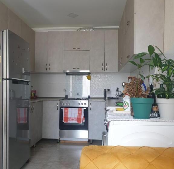 پانسیون Old View