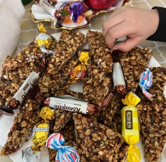 پانسیون Old View