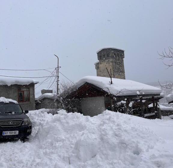 پانسیون Old View