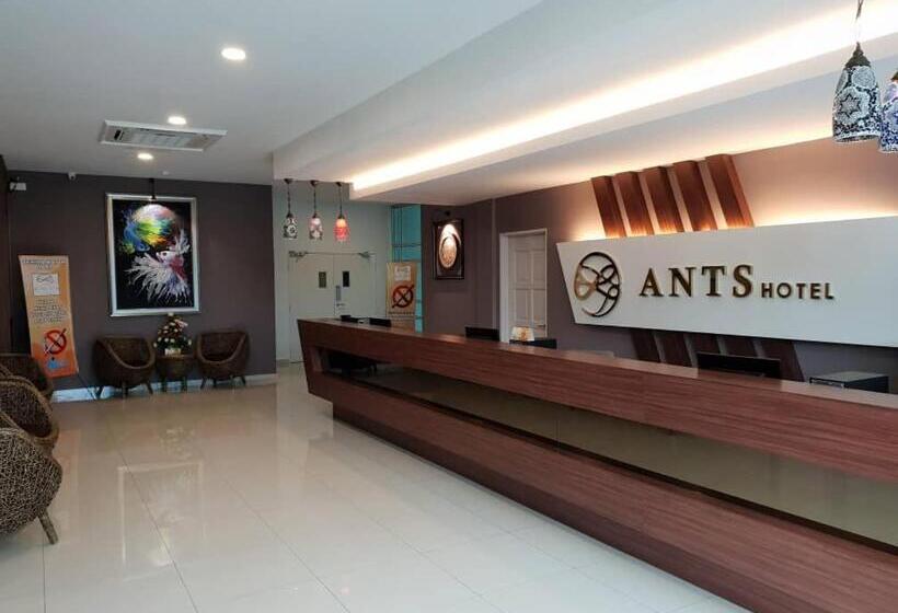 בית מלון כפרי Ants