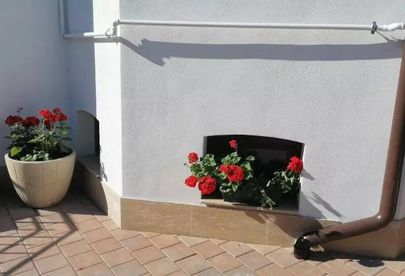 ベッドアンドブレックファースト Ana Boutique