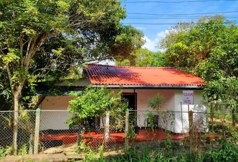 Helena Hostel
