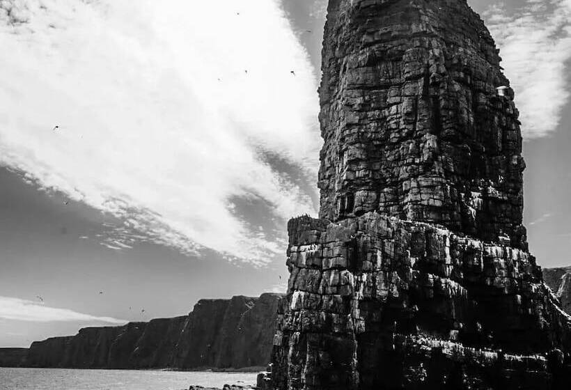 Bed and Breakfast Burnside Cottage