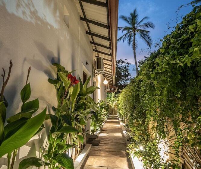 تختخواب و صبحانه Luaya Beach