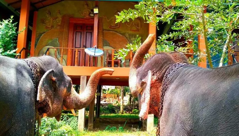 Hotelli Luck Uyana Cabana Pinnawala