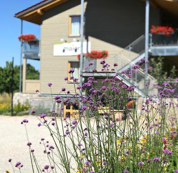 Pensão Die Wein Bleibe