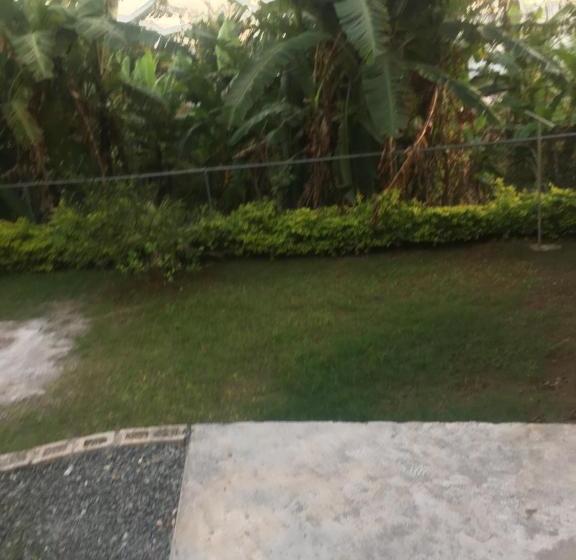 تختخواب و صبحانه Becaville