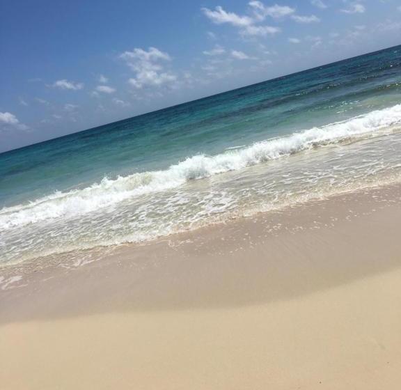 تختخواب و صبحانه Becaville