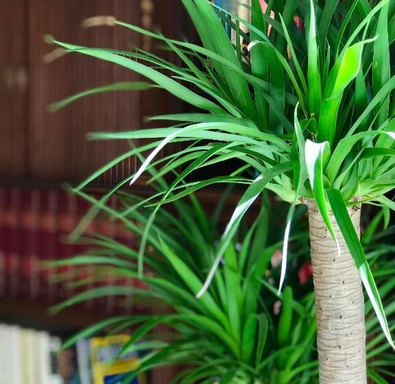 Отель Moon And Chalice Boutique