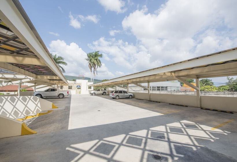 בית מלון כפרי Palace Inn