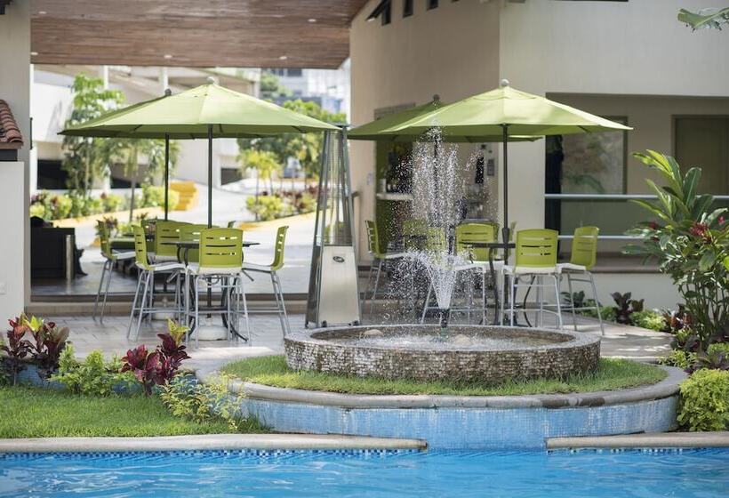 בית מלון כפרי Palace Inn