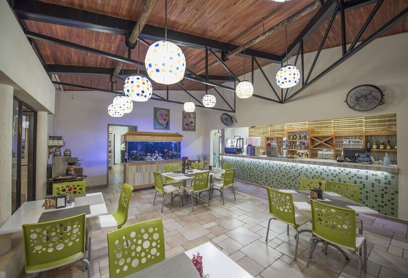 בית מלון כפרי Palace Inn