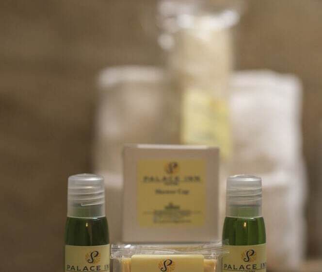 בית מלון כפרי Palace Inn