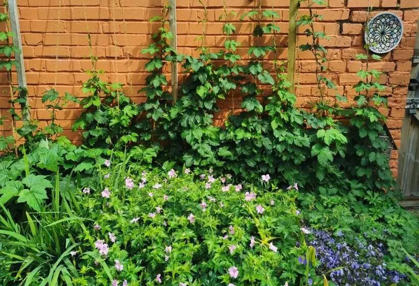 Aamiaismajoitus (B&B) Rosslyn Court