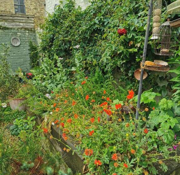 مبيت وإفطار Rosslyn Court