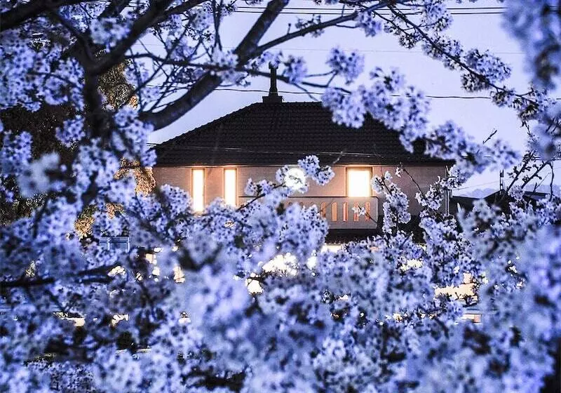 Majatalo Guest House Kusunoki(women Only)