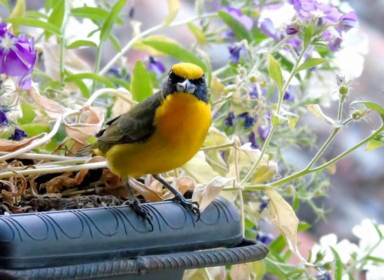 호텔 Quedate Aqui Barichara   El Original