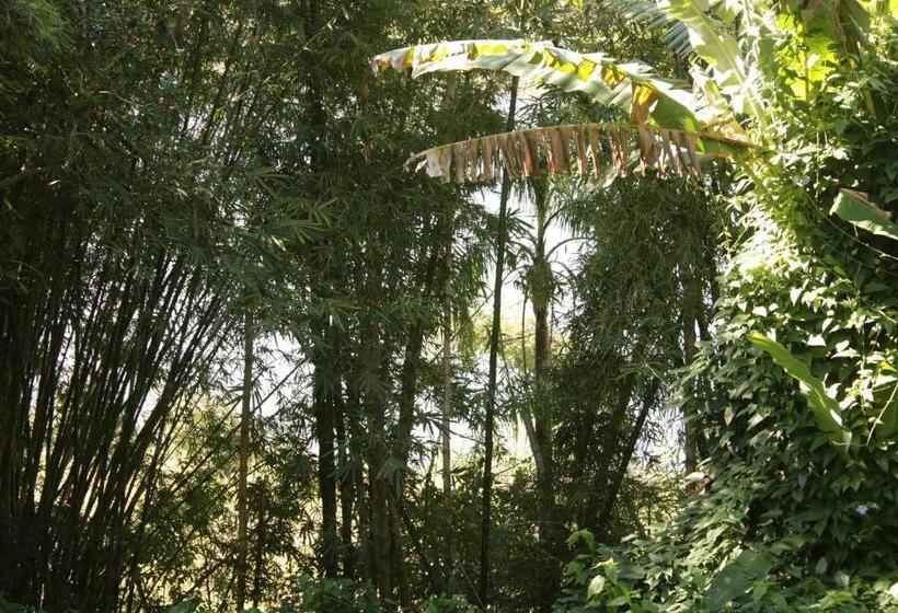 پانسیون Coração Da Terra Praia Do Rosa