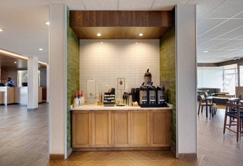 فندق Fairfield Inn & Suites By Marriott Tampa Wesley Chapel