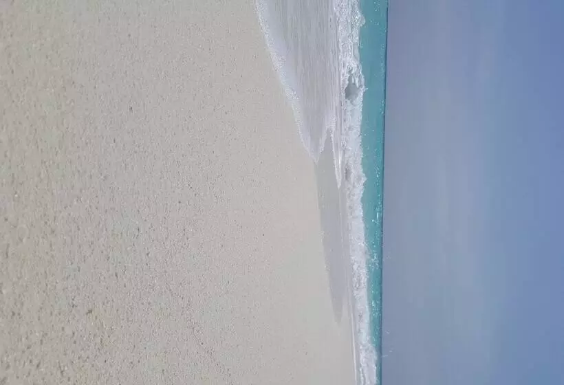 هتل House Clover Hana