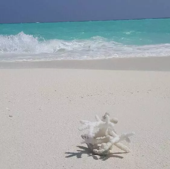 هتل House Clover Hana