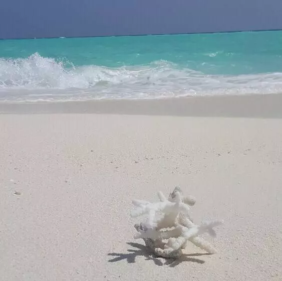 هتل House Clover Hana