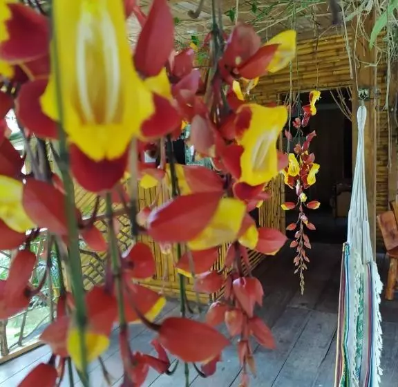 Retkeilymaja Hostal El Eden De Mindo