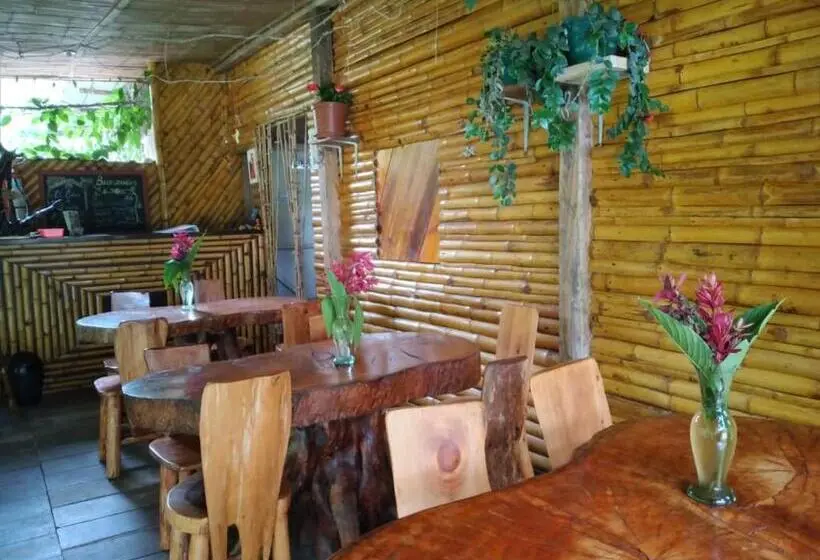 ユースホステル Hostal El Eden De Mindo