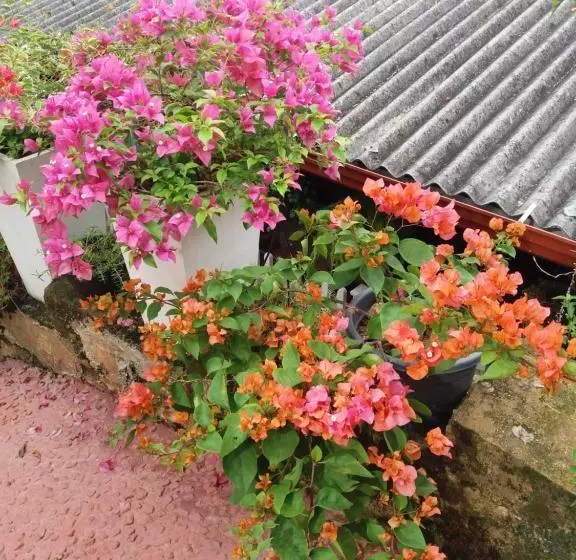 تختخواب و صبحانه Nilu Villa