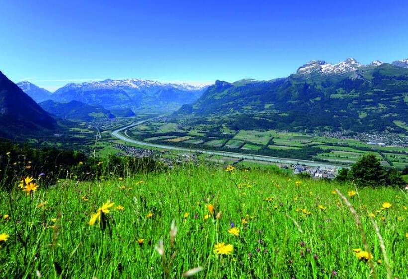 هتل Vaduzerhof By B Smart