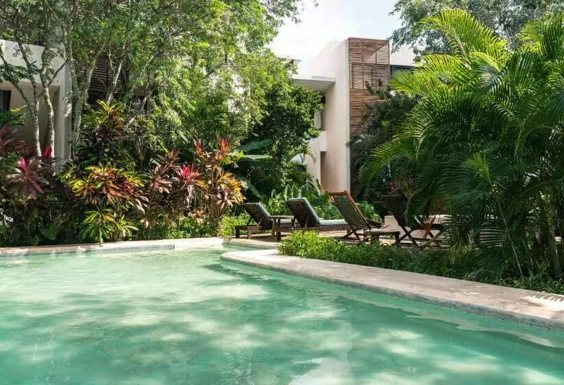 Panacea Condo Tulum