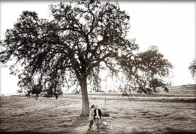 هاستل Rêves De Moutons