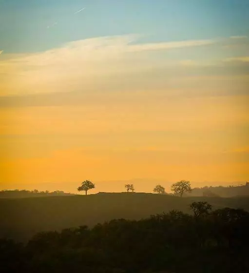 هاستل Rêves De Moutons