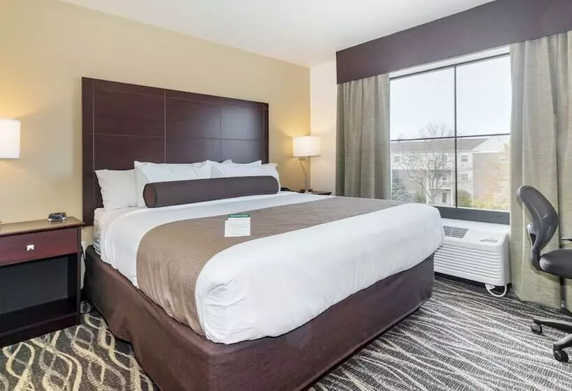 Cobblestone Hotel & Suites   Janesville