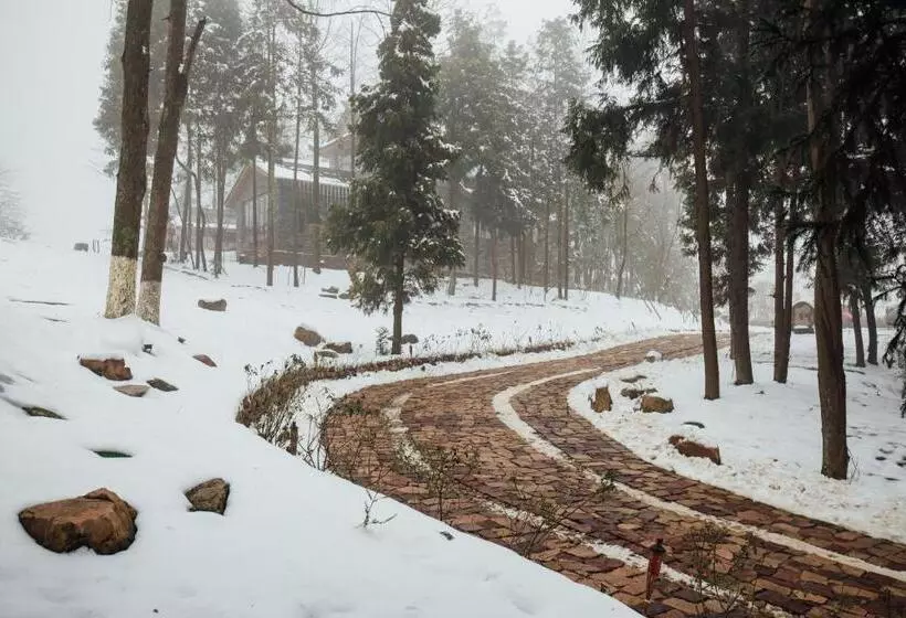 ホテル Zhangjiajie Creek