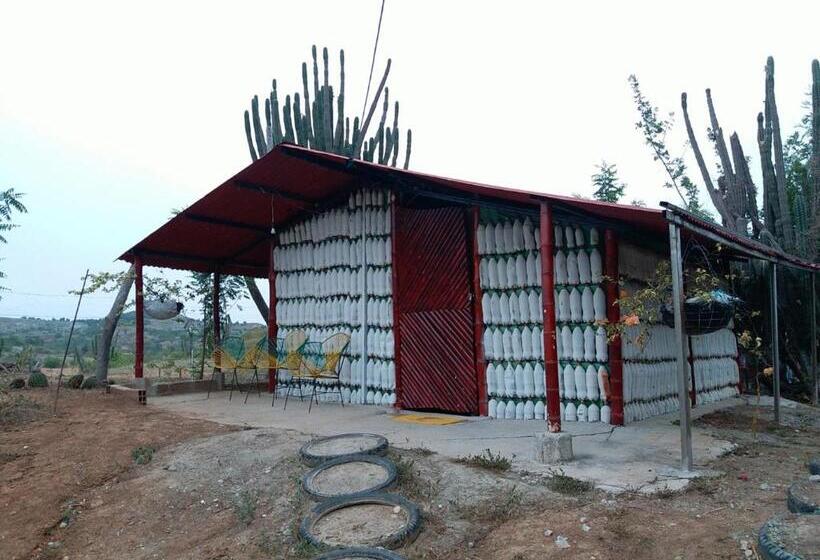 هتل Alojamiento Casa De Campo Los Cactus