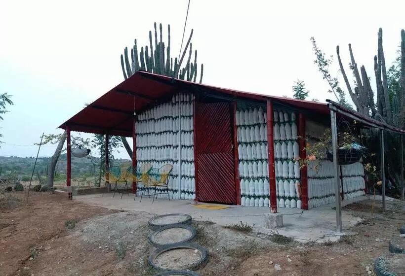 ホテル Alojamiento Casa De Campo Los Cactus