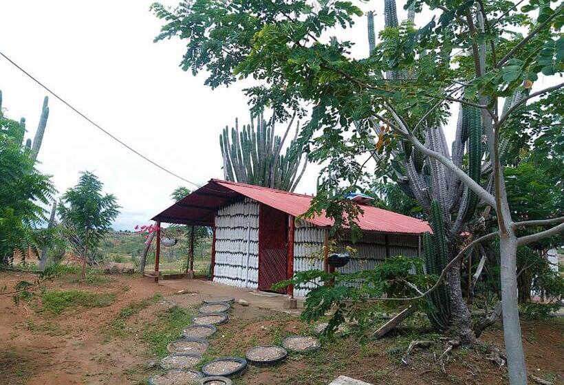 هتل Alojamiento Casa De Campo Los Cactus