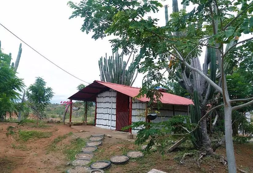 ホテル Alojamiento Casa De Campo Los Cactus