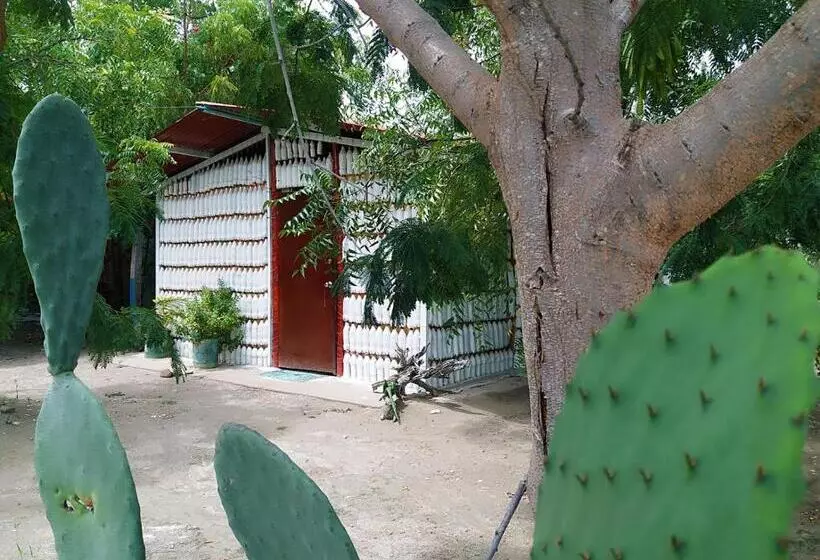 ホテル Alojamiento Casa De Campo Los Cactus